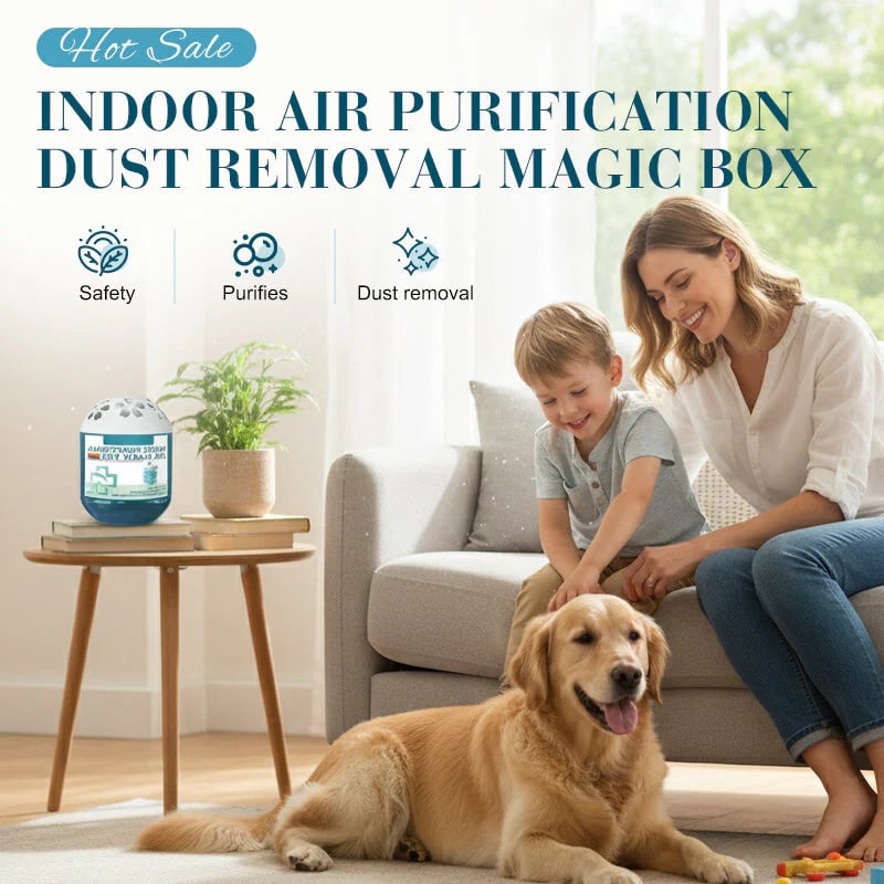 DustAway Purifying Air Magic Box